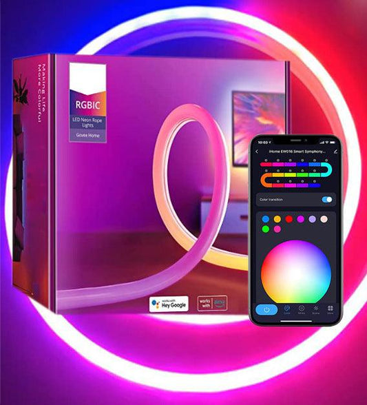 12V24V Bluetooth WIFI5 M RGBIC Colorful Music Neon Light - Cruish Home